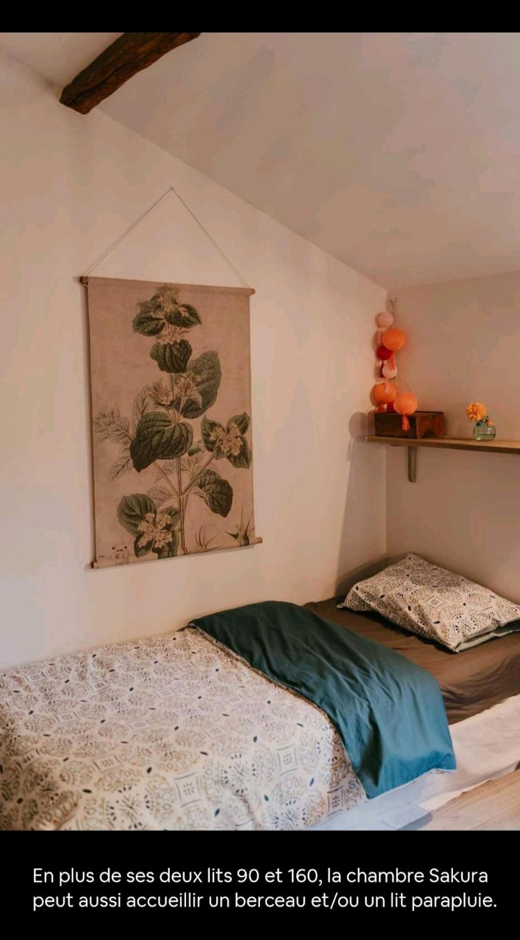 Cocon Cosy Et Deconnecte 30Min Puy Du Fou - 2 Chambres Et 1 Canape Lit Bazoges-en-Pareds ภายนอก รูปภาพ